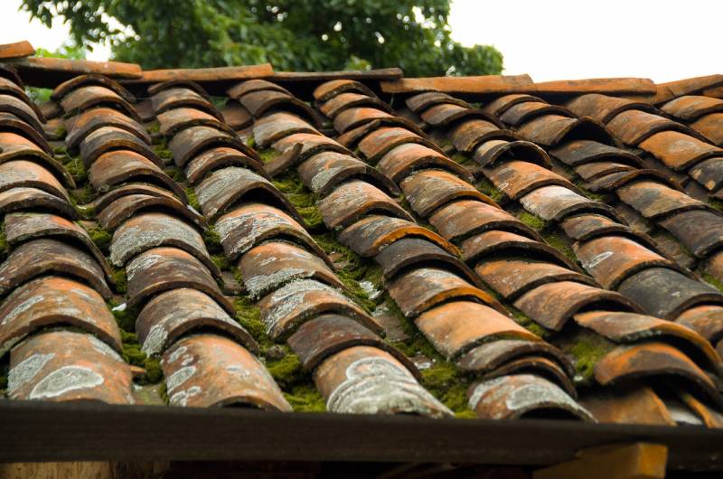 Solutions de nettoyage et démoussage de toiture avec des produits écologiques à Rezé près de Nantes