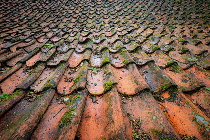 Une toiture en tuiles est-elle plus résistante qu'une toiture en ardoise à Rezé près de Nantes ?